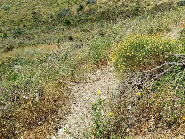 Terreno en Moclinejo