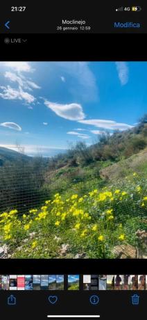 Terreno en Moclinejo