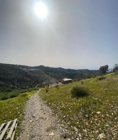 Terreno en Moclinejo