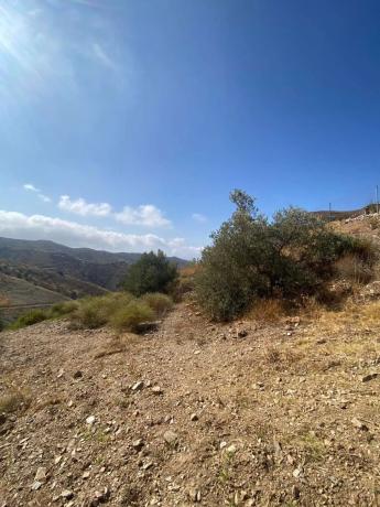 Terreno en Moclinejo