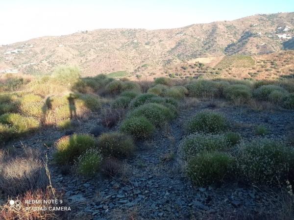 Terreno en El Valdes s/n