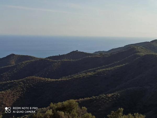 Terreno en Moclinejo