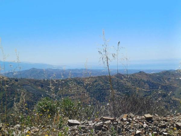 Terreno en Moclinejo