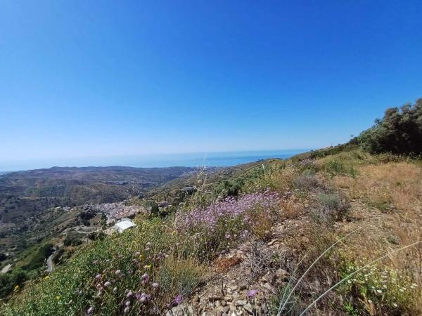 Terreno en Moclinejo