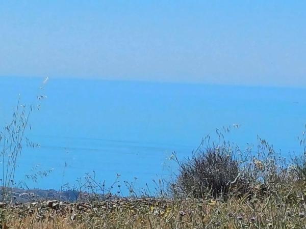 Terreno en Moclinejo