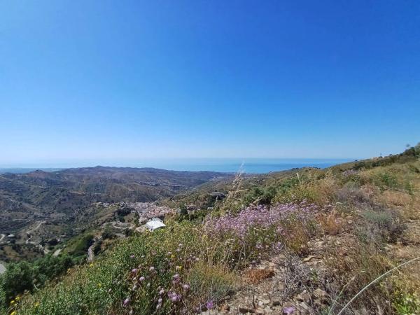 Terreno en Moclinejo