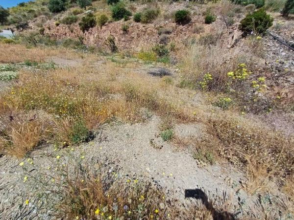 Terreno en Moclinejo