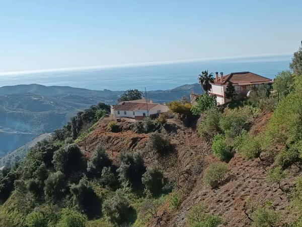 Terreno en Moclinejo