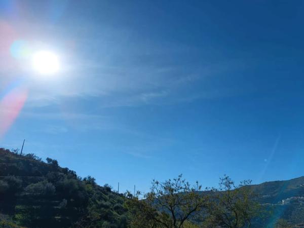 Terreno en Moclinejo