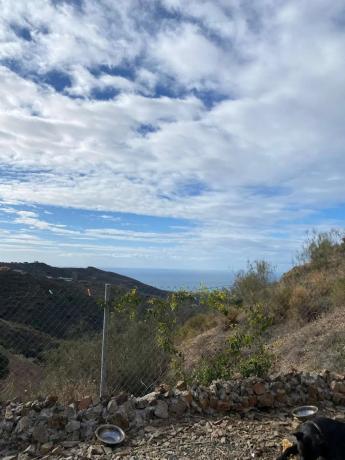 Terreno en Moclinejo