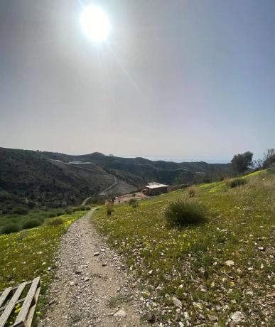 Terreno en Moclinejo