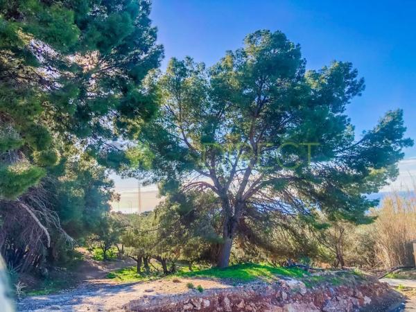 Terreno en calle Paris