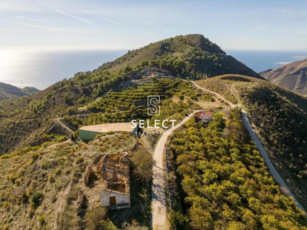 Terreno en Diseminado Diseminados