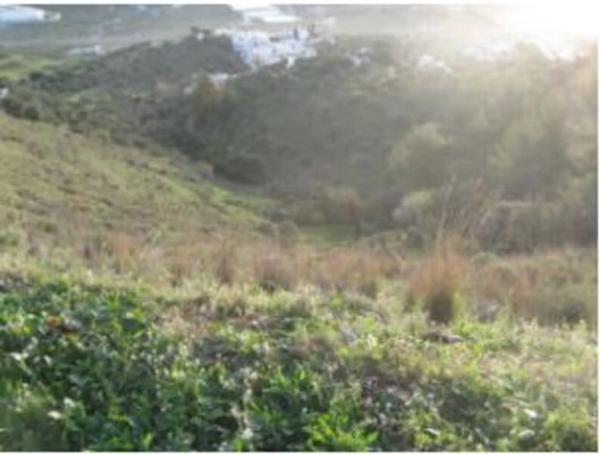 Terreno en Terreno Sup. 1