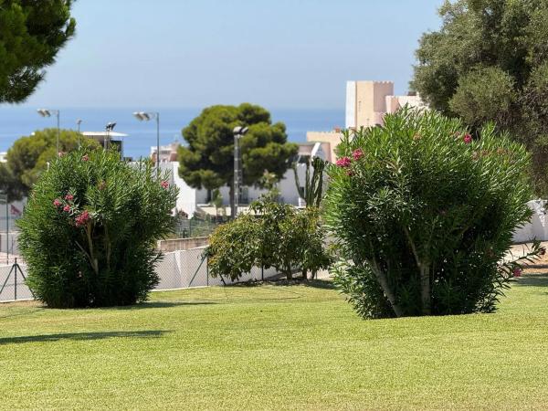Terreno en calle Castillo, 15