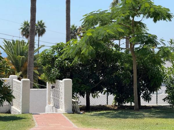 Terreno en calle Castillo, 15