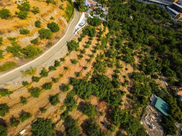 Terreno en Avda Pescia - Ctra de Frigiliana