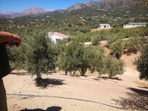 Terreno en Periana
