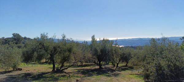 Terreno en Periana