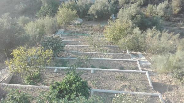Terreno en Gran Sol - Montesol