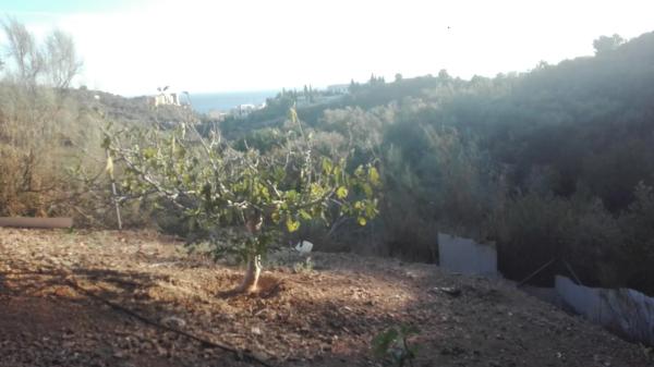 Terreno en Gran Sol - Montesol