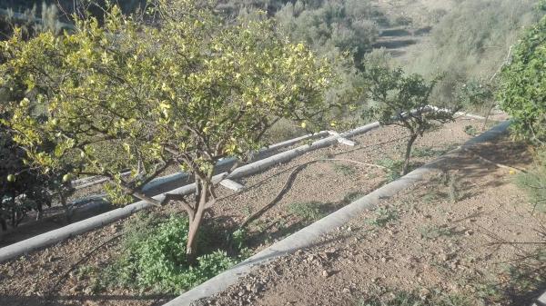Terreno en Gran Sol - Montesol