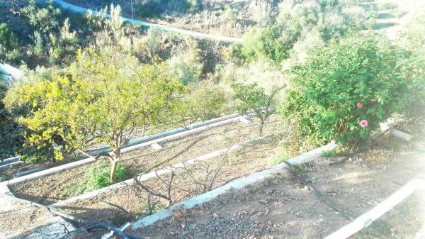 Terreno en Gran Sol - Montesol