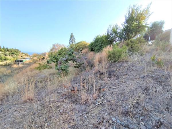 Terreno en Cortijo Trigueros