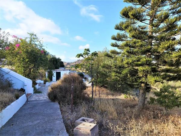 Terreno en Cortijo Trigueros