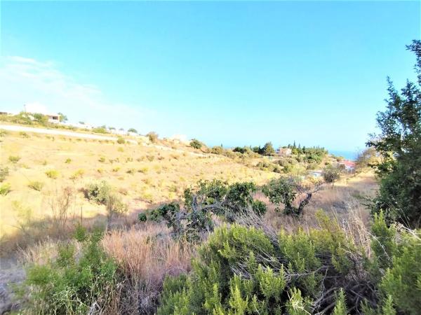 Terreno en Cortijo Trigueros