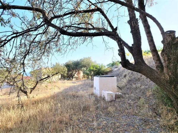 Terreno en Cortijo Trigueros