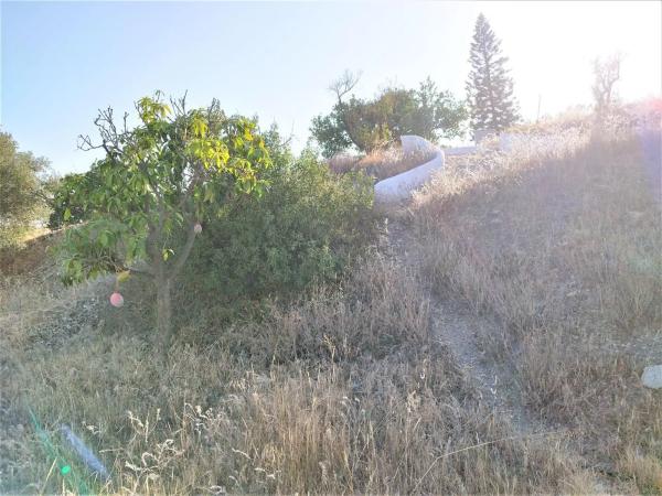 Terreno en Cortijo Trigueros