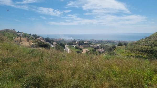 Terreno en calle Reyezuelo, 20 g