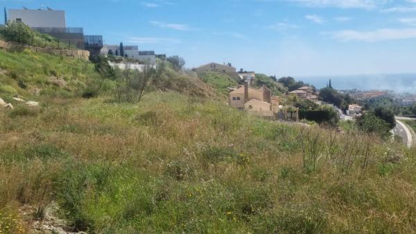 Terreno en calle Reyezuelo, 20 g