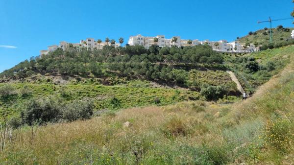Terreno en calle Reyezuelo, 20 g