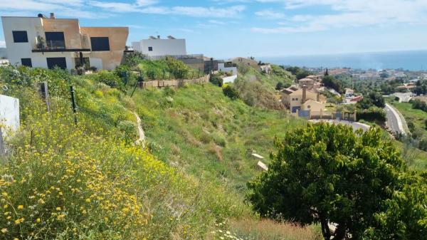 Terreno en calle Reyezuelo, 20 g