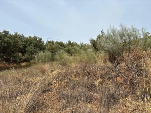 Terreno en carretera Benagalbón