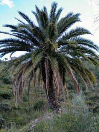 Terreno en Cotomar - Urbanizaciones