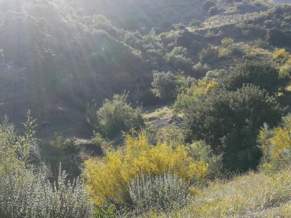 Terreno en Cotomar - Urbanizaciones