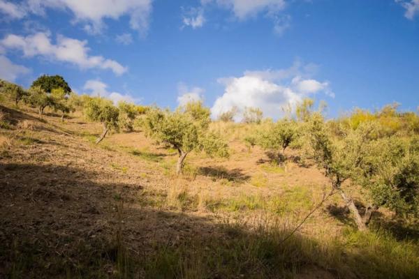 Terreno en Cotomar - Urbanizaciones
