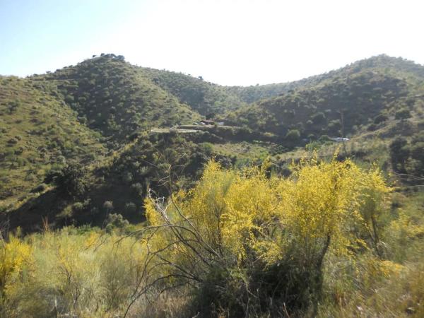 Terreno en Cotomar - Urbanizaciones