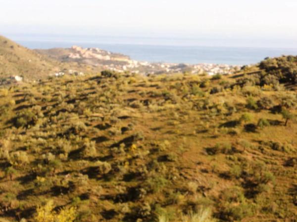 Terreno en Cotomar - Urbanizaciones
