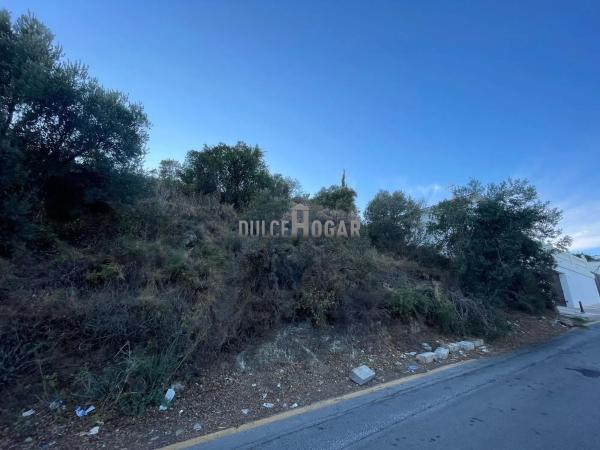 Terreno en calle Acebuche