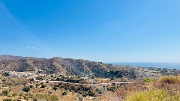 Terreno en Mirlo, 21