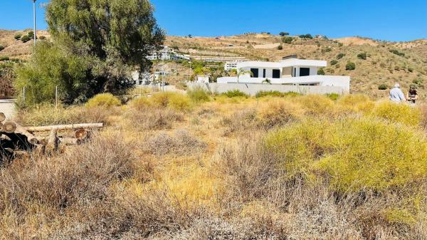 Terreno en Mirlo, 21