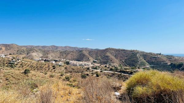 Terreno en Mirlo, 21