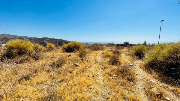 Terreno en Mirlo, 21