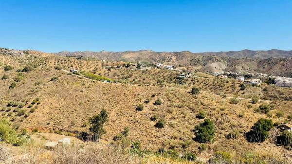 Terreno en Mirlo, 21