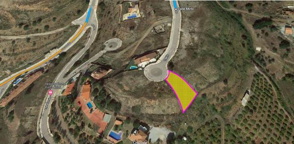 Terreno en Mirlo, 21