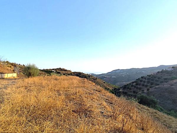 Terreno en carretera de Macharaviaya, El Lagar Alto s/n